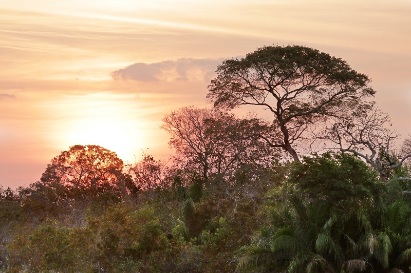 Preservação do Pantanal é pauta do MPMS em recomendação ao Imasul