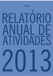 Relatório Anual de Atividades 2013